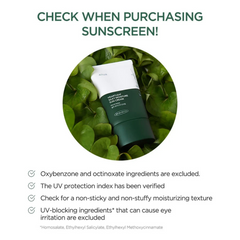 ANUA Heartleaf Silky Moisture Sun Cream SPF 50+ PA++++